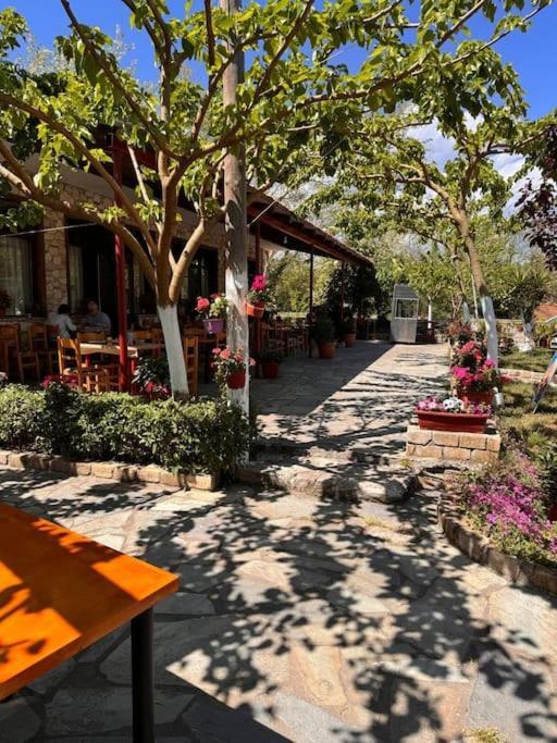 Family Woodland Oasis Vipgreece Apartment Kírinthos Exterior photo
